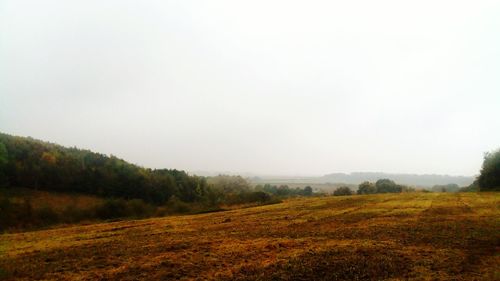 Scenic view of field against clear sky
