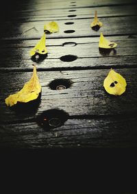 High angle view of yellow leaf on water