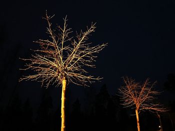 Low angle view of firework display at night