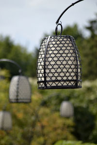 Close-up of lantern hanging on tree