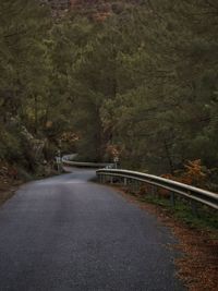 Empty road amidst trees in forest
