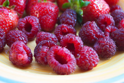 Close-up of strawberries in plate