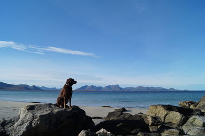 Scenic view of sea and mountains against sky