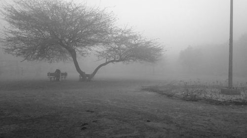 Silhouette trees on field against sky