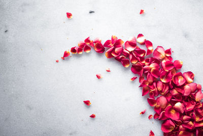 High angle view of red berries on white background