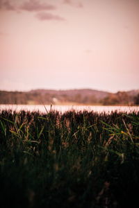 Scenic view of field against sky during sunset