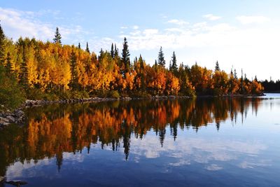 Reflection of trees in lake against sky during autumn