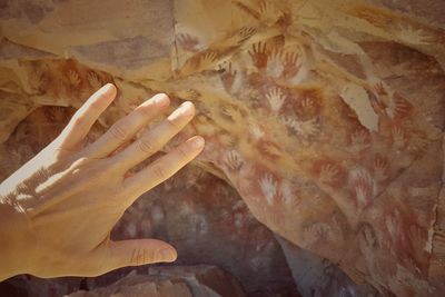 Close-up of hand touching leaf