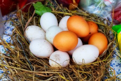 High angle view of eggs in nest