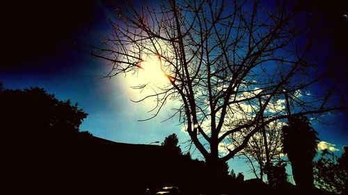 Low angle view of silhouette tree against sky