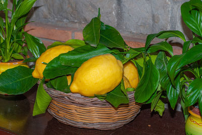 Close-up of fruits in basket