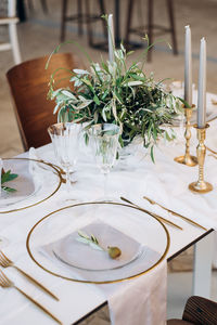 Close-up of potted plant on table