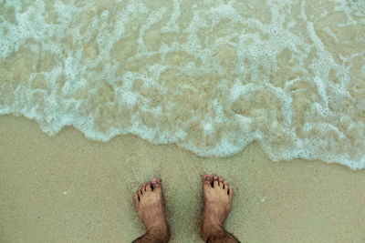 Low section of man standing on beach