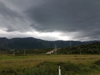 Scenic view of field against sky