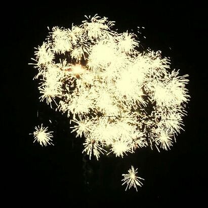 night, illuminated, low angle view, glowing, firework display, dark, exploding, sky, celebration, silhouette, long exposure, firework - man made object, no people, outdoors, sparks, copy space, tree, nature, growth, light - natural phenomenon