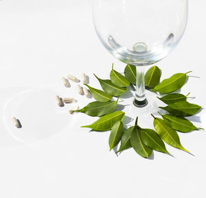 Close-up of glass of water on table against white background