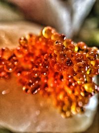 Close up of water