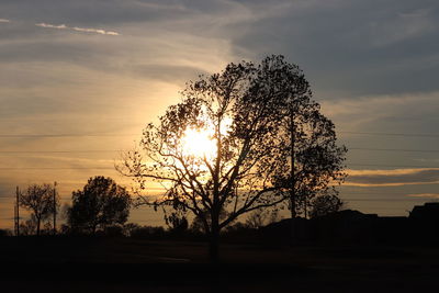 Silhouette tree on field against sky at sunset