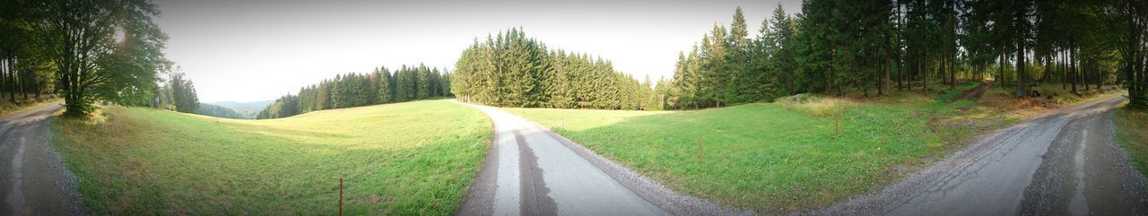 PANORAMIC VIEW OF EMPTY ROAD AMIDST TREES AGAINST SKY