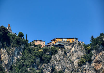 Low angle view of plants and buildings against clear blue sky