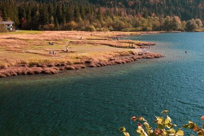 High angle view of lake and trees in forest