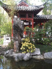 Plants growing outside temple