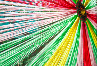 Full frame shot of multi colored leaves