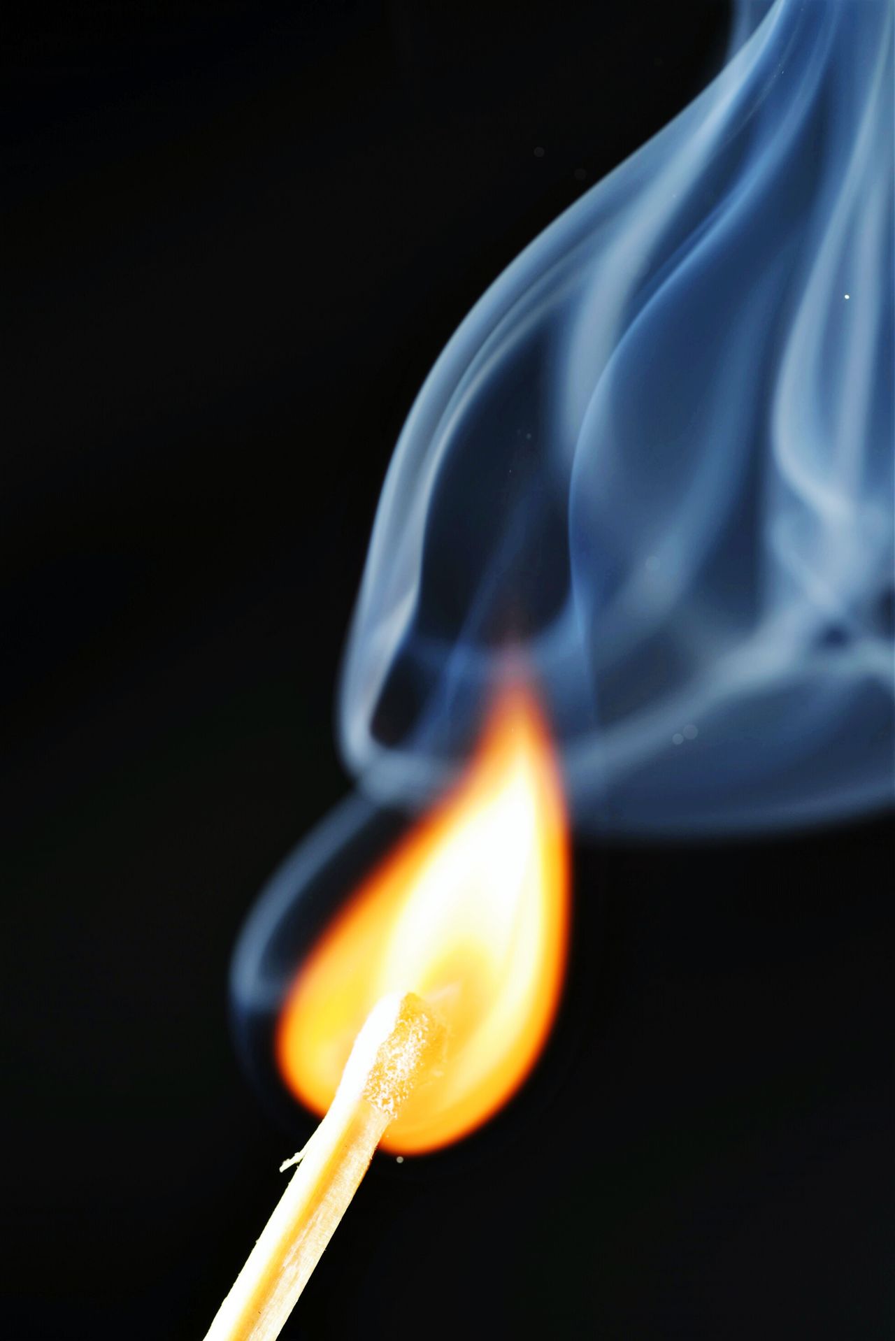 Image Dream Photography