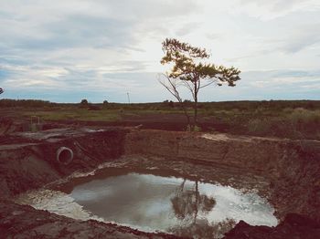 Scenic view of landscape against sky