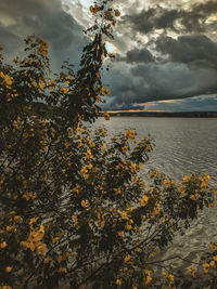 Scenic view of sea against sky during autumn