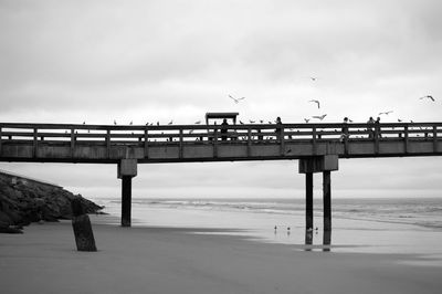 People and birds on pier at beach against sky