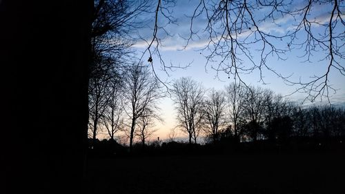 Close-up of silhouette trees against sky at sunset