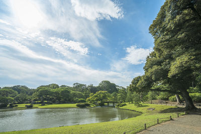 Scenic view of river by trees against sky