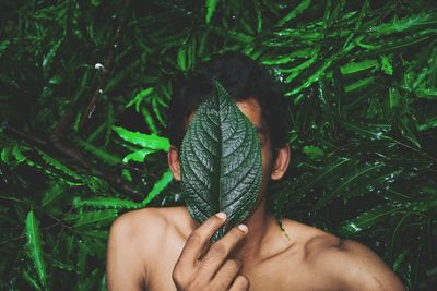 Young man holding a green leaf