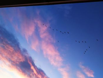 Low angle view of birds flying in sky