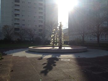 Sun shining through trees