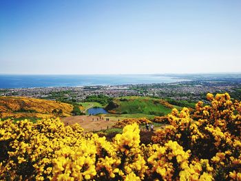 Scenic view of sea against clear sky