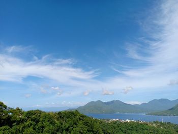 Scenic view of trees against blue sky