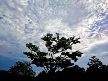 Low angle view of silhouette trees against sky