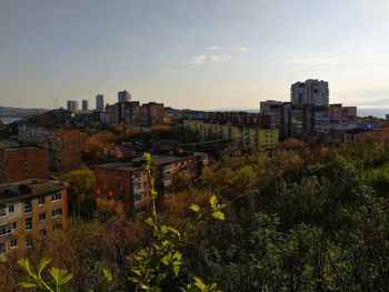 High angle view of trees and buildings against sky