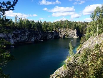 River flowing through a forest