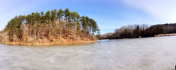 Scenic view of river with trees in background