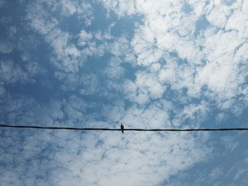 Low angle view of bird perching on cable against cloudy sky