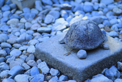 High angle view of stones on pebbles