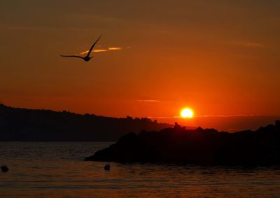 Silhouette bird flying over sea against sky during sunset