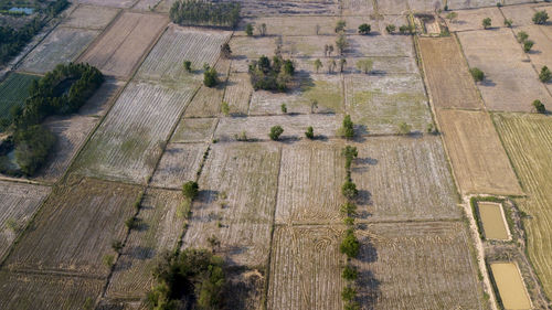 High angle view of agricultural landscape