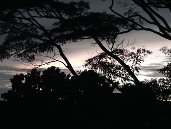 Silhouette trees against sky at sunset