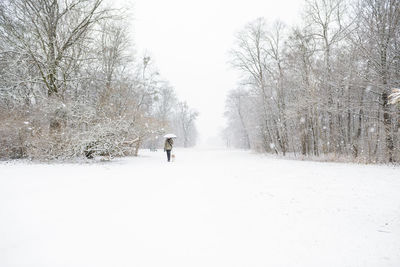 Man walking on snow covered trees