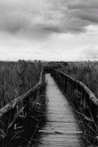 Boardwalk amidst plants on field against sky