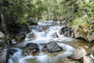 Scenic view of waterfall in forest